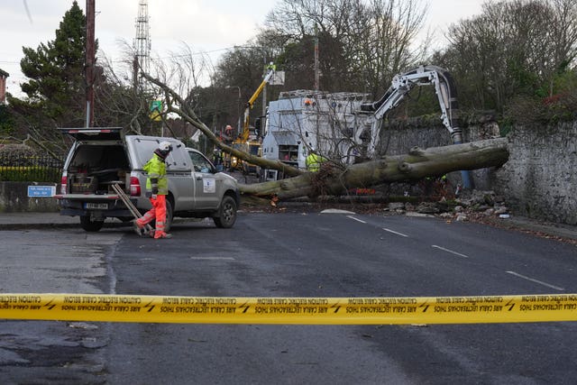 Workers survey a fallen tree which crashed through the wall of Phoenix Park and on to Blackhorse Avenue in Dublin 