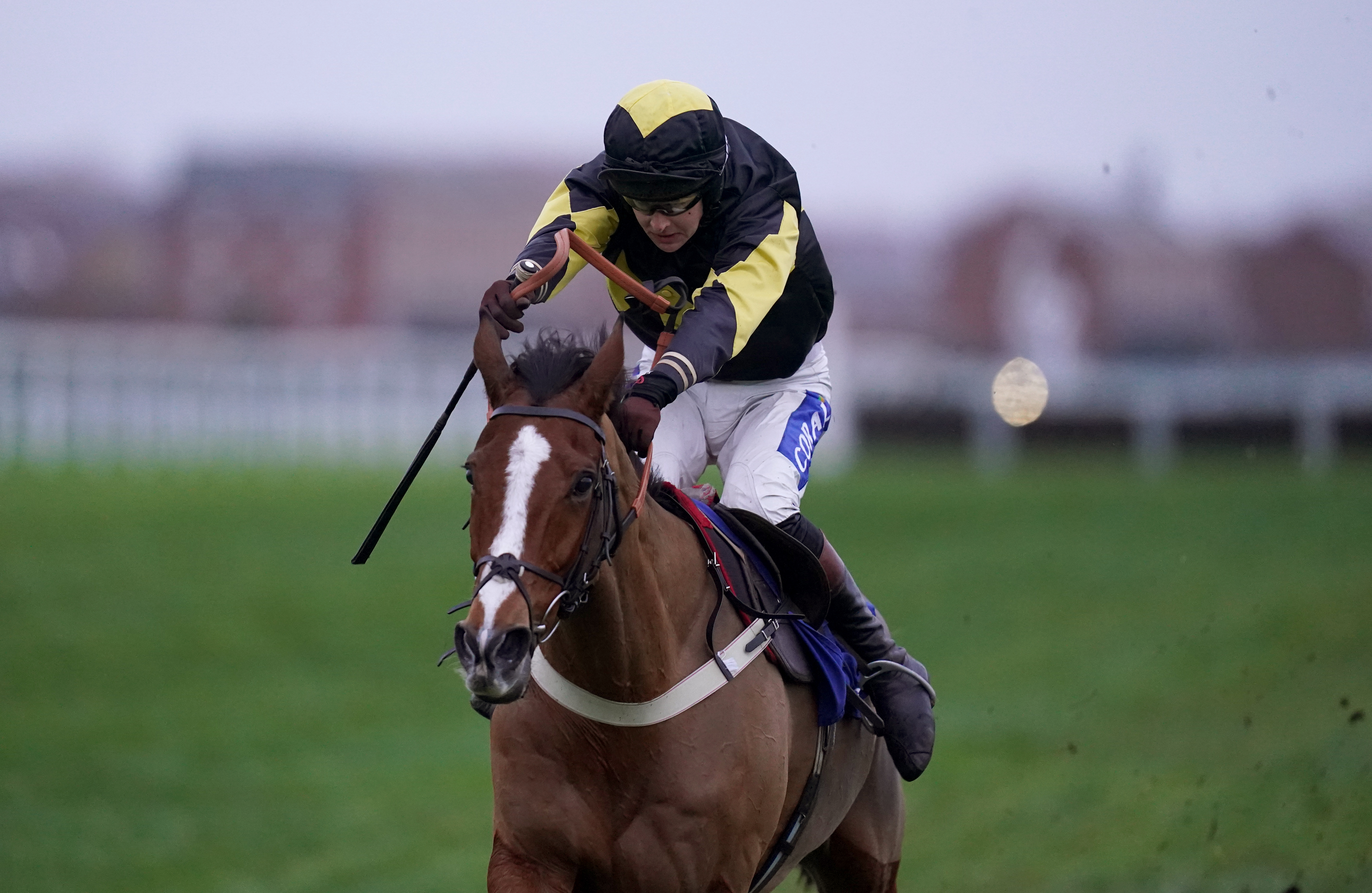 Amarillo Sky, here winning at Newbury, is a possible for the Clarence House Chase at Cheltenham