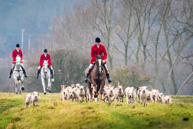 Laws on fox hunting were changed in 2005