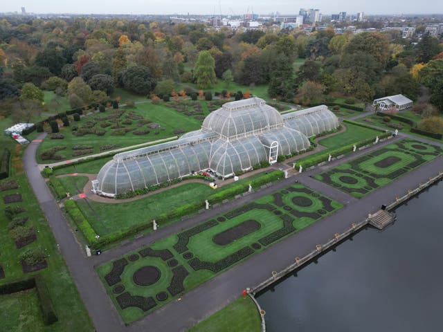 Kew Gardens’ autumn colour