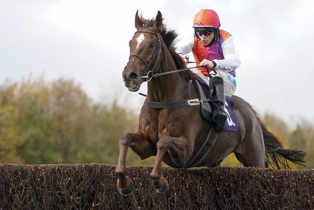 Wayfinder could head to Newbury if he does not get in the Welsh National