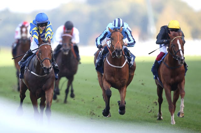 Tashkhan (middle) will carry top weight 