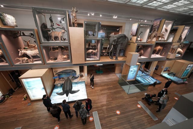 People inside Great North Museum in Newcastle (Owen Humphreys/PA)