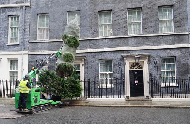 Downing Street Christmas tree