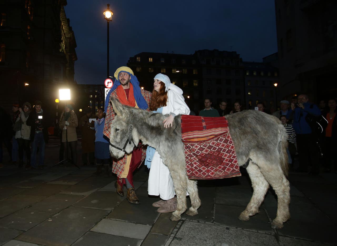 Why a donkey may have been the perfect choice for Mary’s journey to