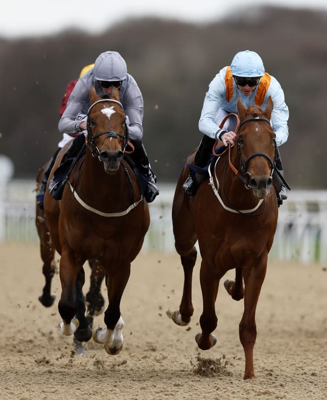 Dear My Friend (right) winning the Burradon Stakes at Newcastle