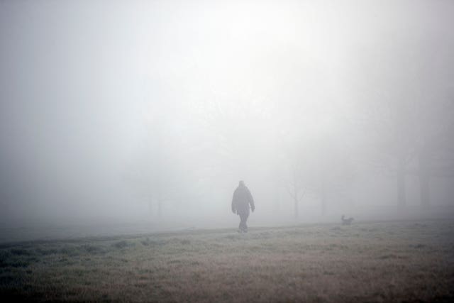 A man walks his dog in the frost and fog in Windsor Great Park, Berkshire