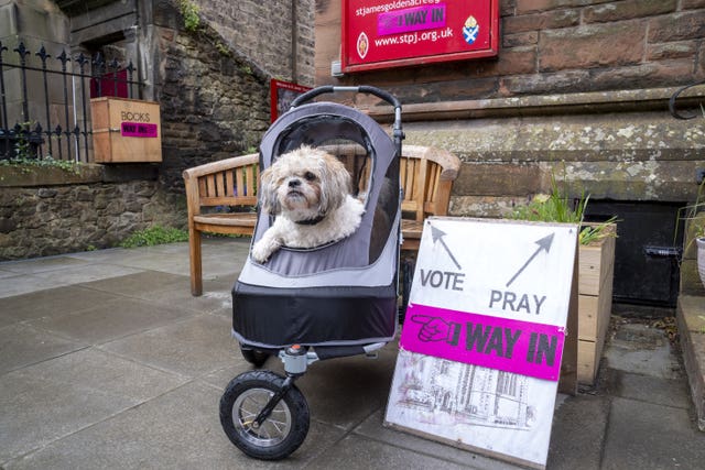 A dog in a pram outside a polling station in a church