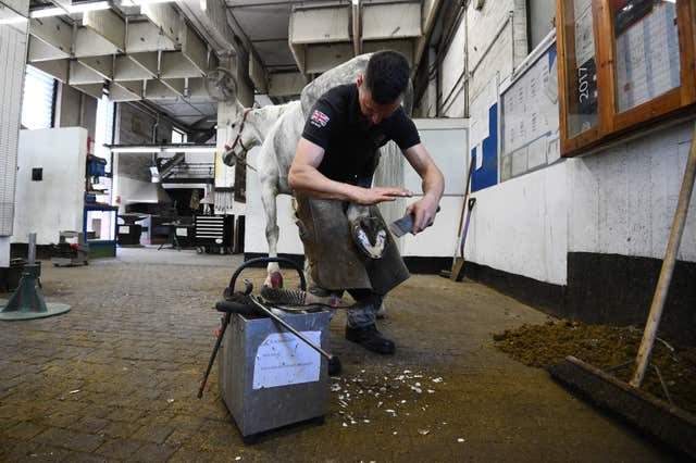 A horse being re-shoed in the forge at the barracks (Kirsty O’Connor/PA)