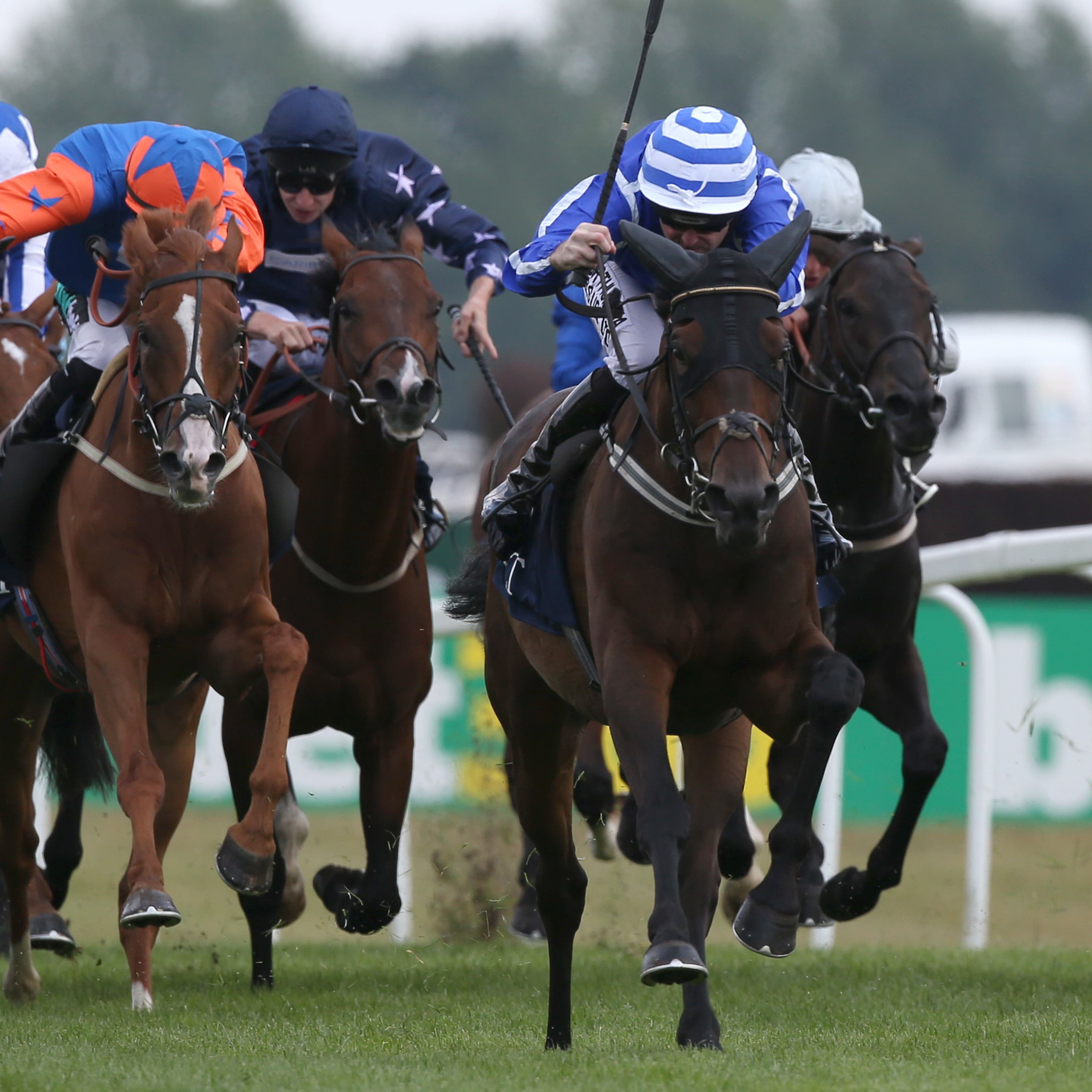 Stratum heads a team of seven in the Cesarewitch for Willie Mullins