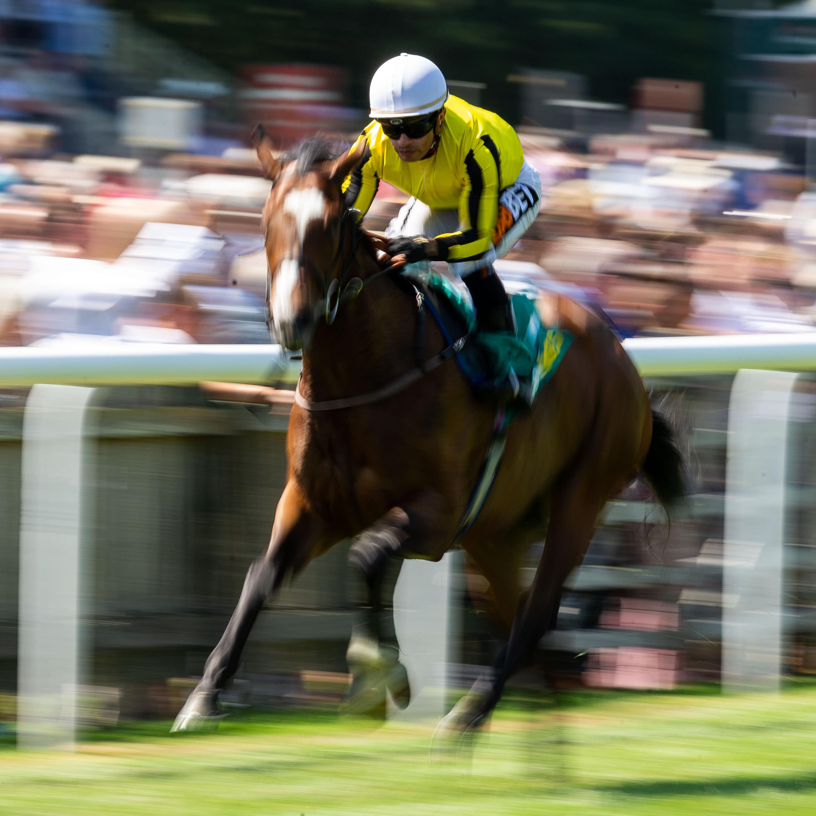 Pretty Pollyanna on her way to winning the Duchess of Cambridge Stakes