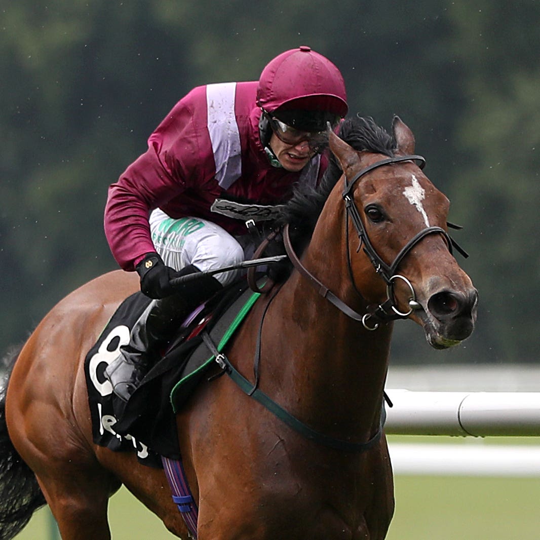 Safe Voyage wins the John of Gaunt Stakes at Haydock