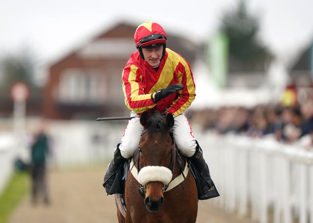 Coole Cody winning at the Cheltenham Festival last season