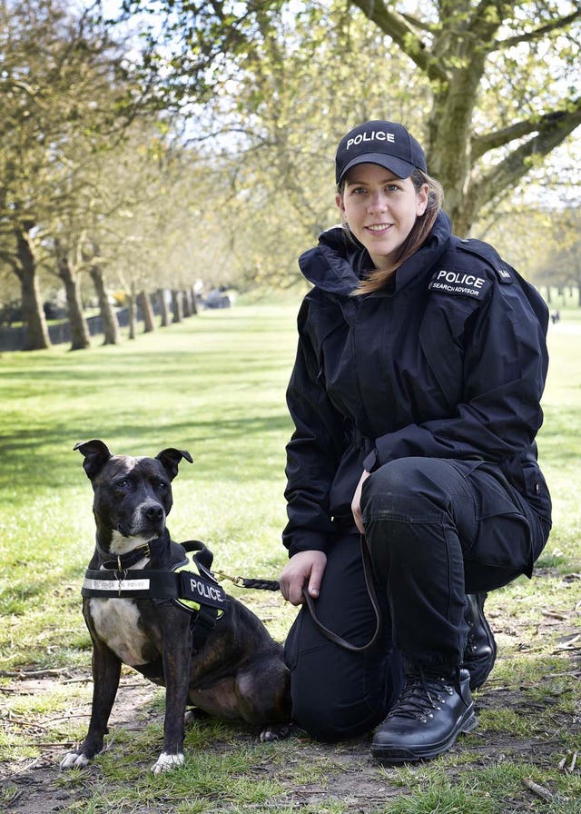 Rescued Staffie becomes police dog