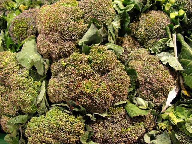 Broccoli on display in a supermarket.