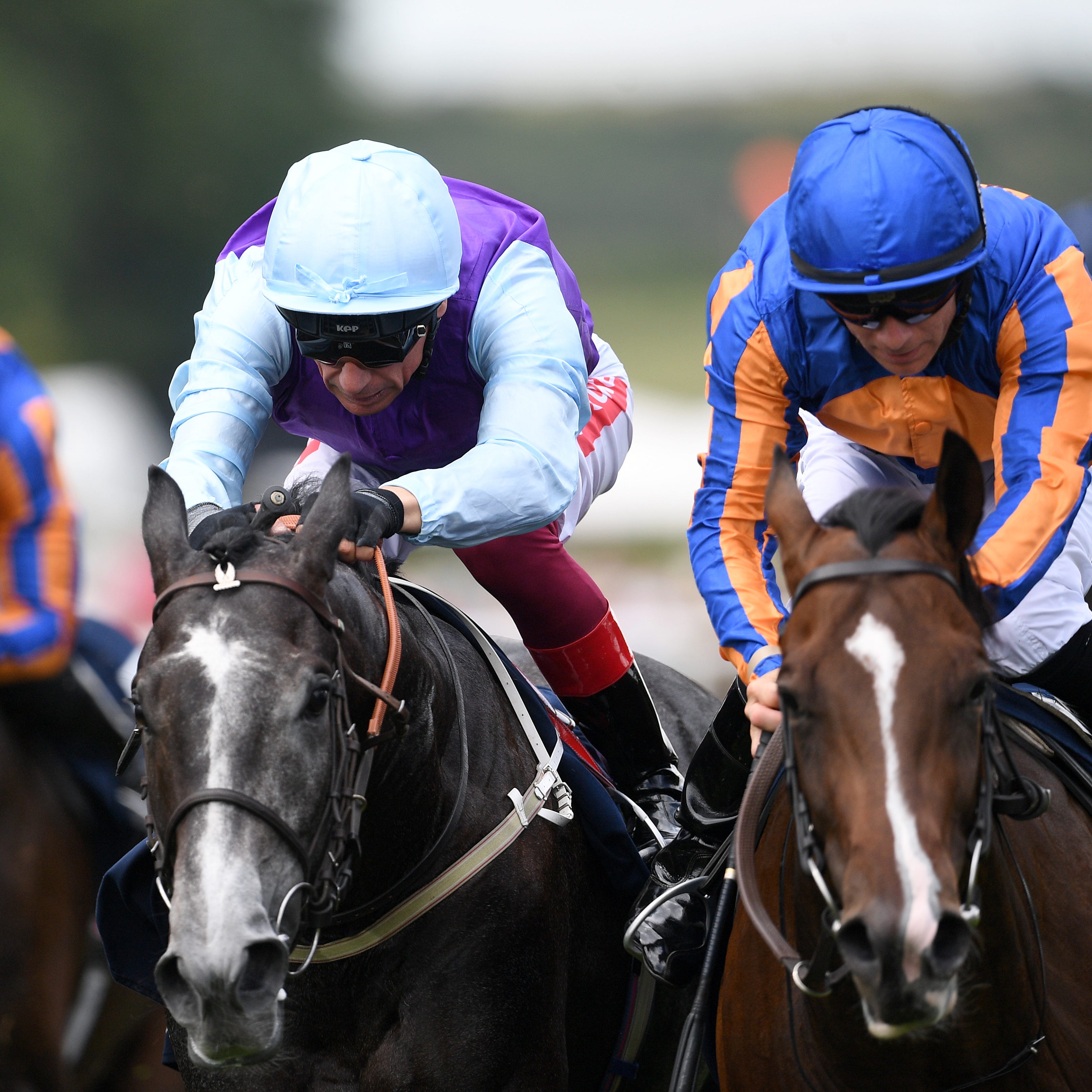 Visinari (centre) is expected to bounce back from his defeat at Newmarket