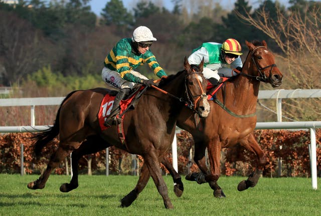 Priory Park (left) takes the lead close home to win the Irish Daily Star Christmas Handicap Hurdle at Leopardstown
