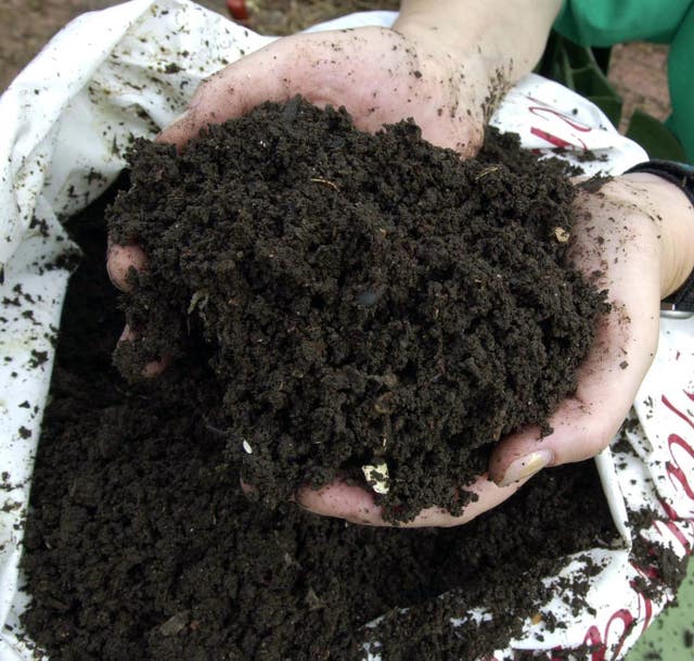 Use peat-free compost (Barry Batchelor/PA)