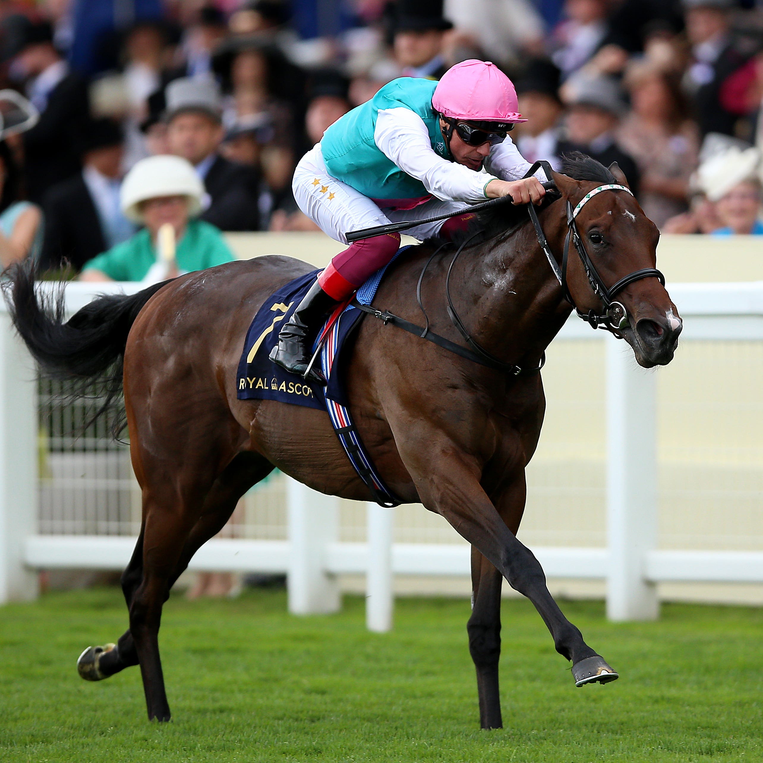 Calyx on his way to winning the Coventry Stakes at Royal Ascot