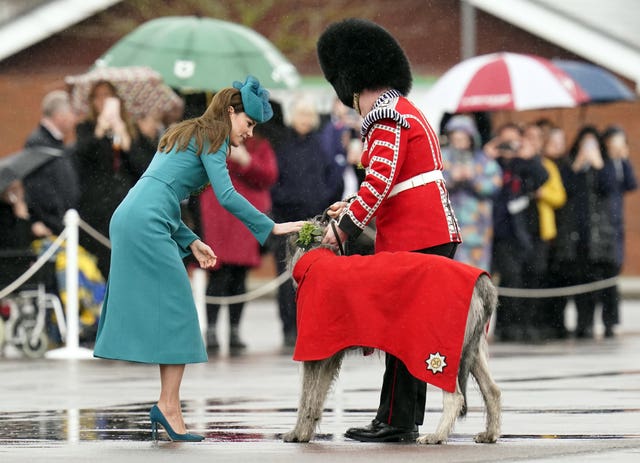 The Princess of Wales places sprigs of shamrock onto the collar of Irish Wolfhound mascot, Seamus during a visit to the 1st Battalion Irish Guards for the St Patrick’s Day Parade, at Mons Barracks in Aldershot