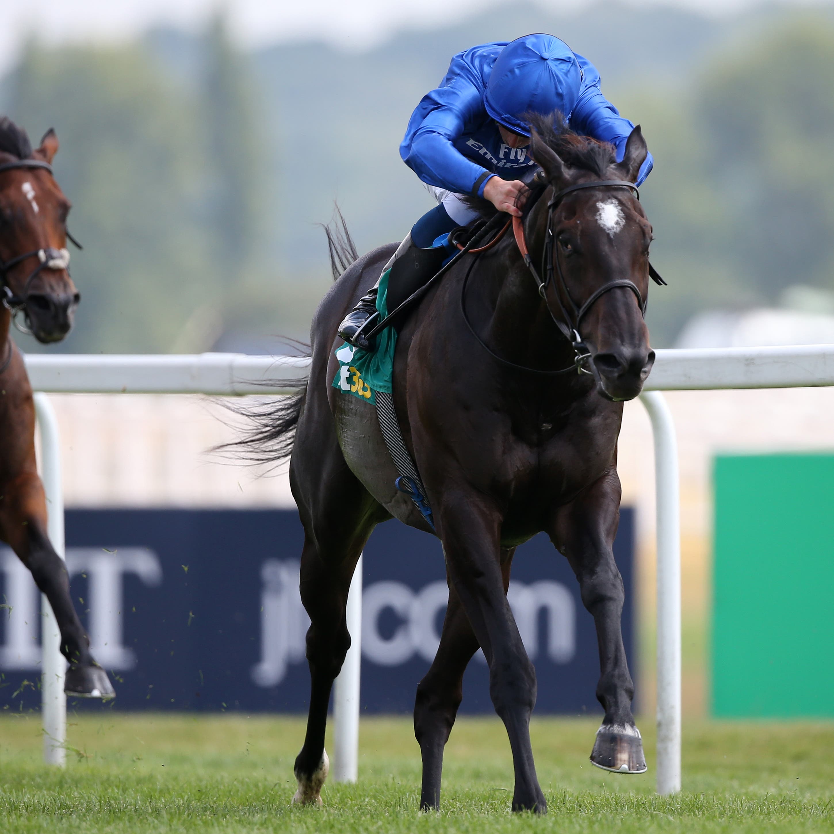Emotionless is expected to miss the Caulfield Cup