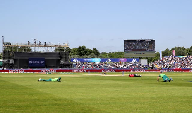 Players and umpires hit the deck when bees swarmed during a World Cup match earlier this year 