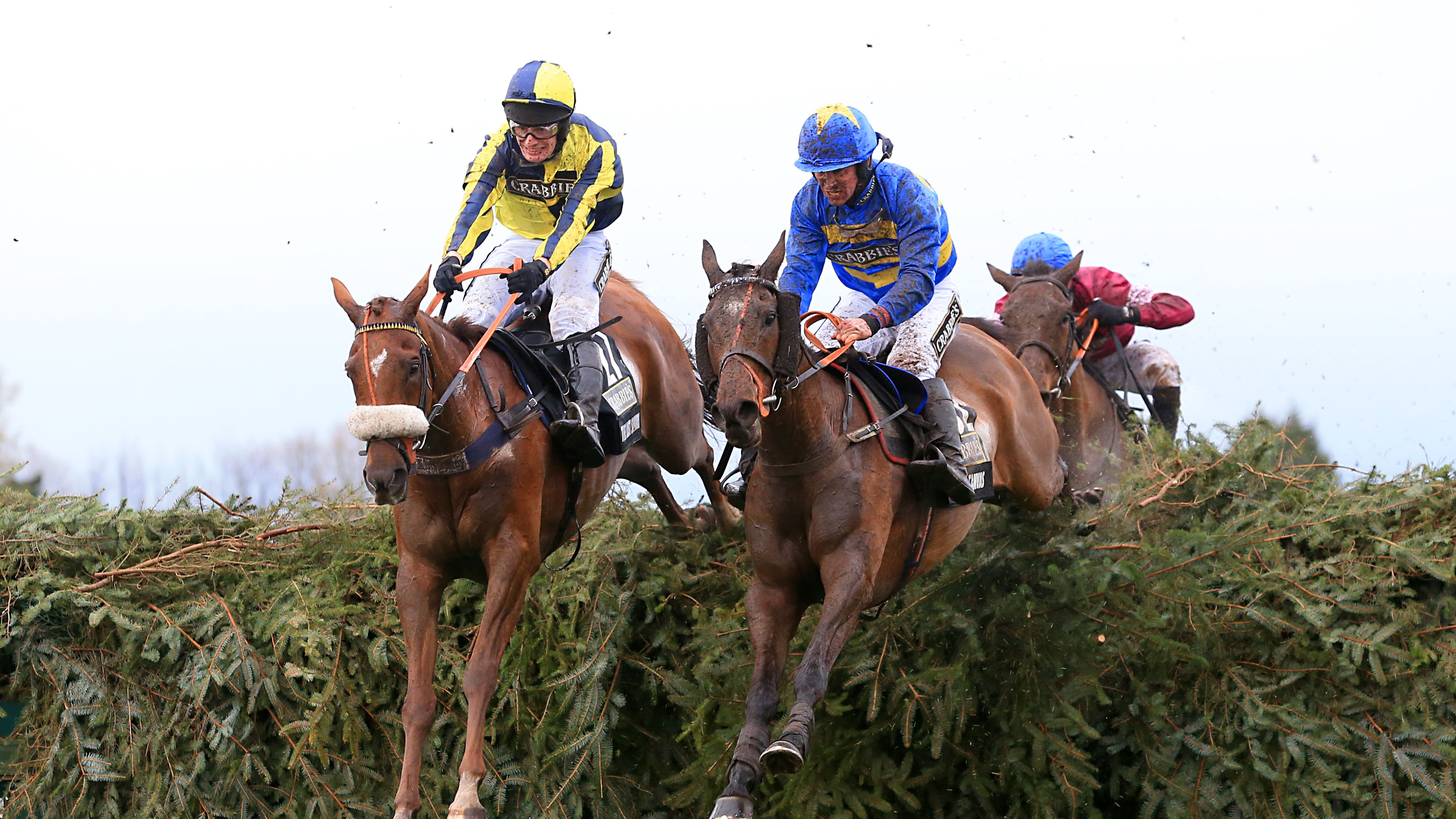 Non Runners In Grand National Non Runners In Grand National