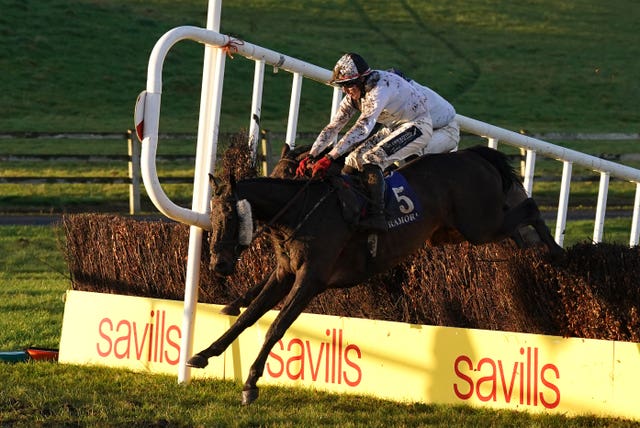 Tyre Kicker ridden by Keith Donoghue goes on to win The Tom Carroll Memorial Handicap Chase during Savills New Years Chase Day at Waterford and Tramore Racecourse 