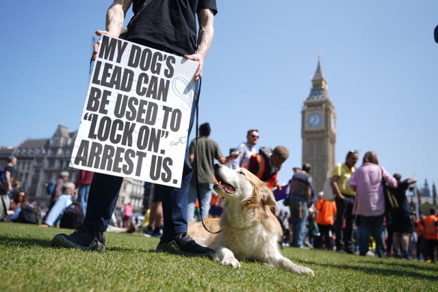 A person with their dog at the protest