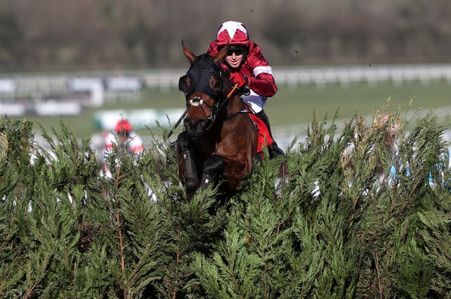 Tiger Roll is nearly unbeatable at the Cheltenham Festival 