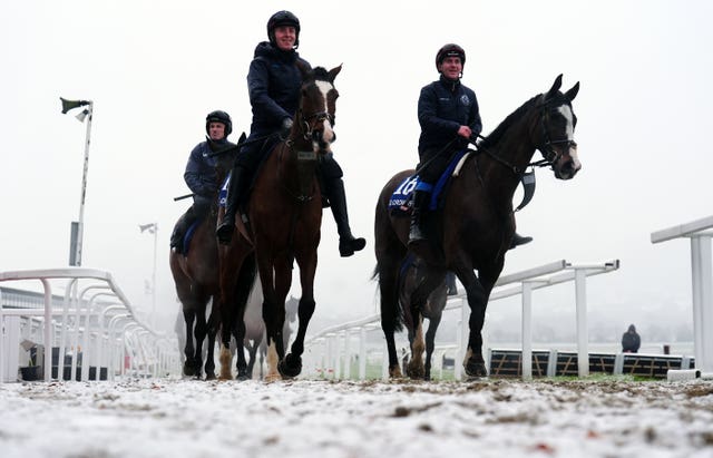 Horses make their way in from the snow-covered gallops