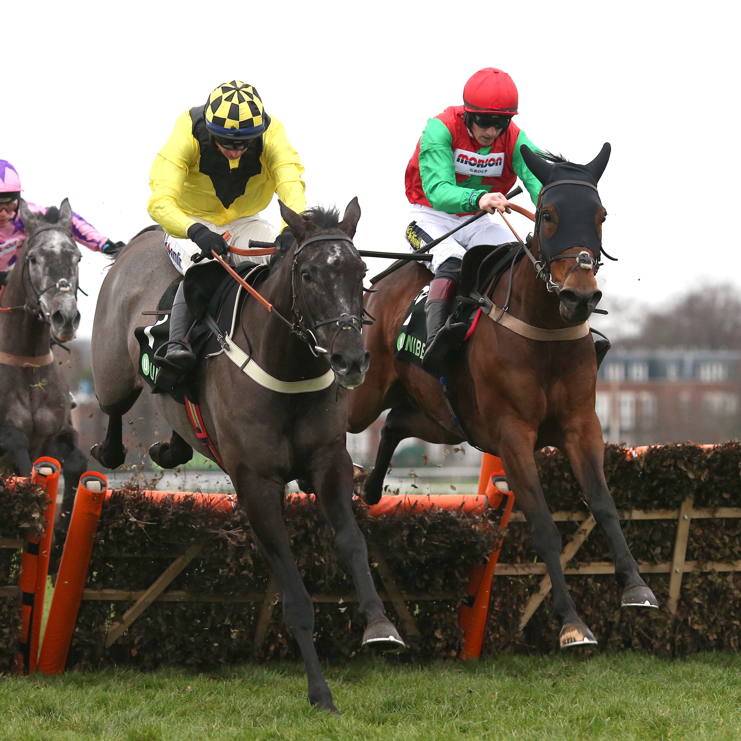 Elixir De Nutz (yellow and black colours) gets the better of Grand Sancy at Sandown
