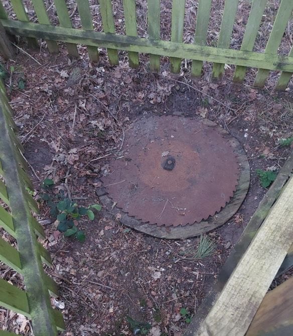 The well on Douglas Clifton Brown's family estate