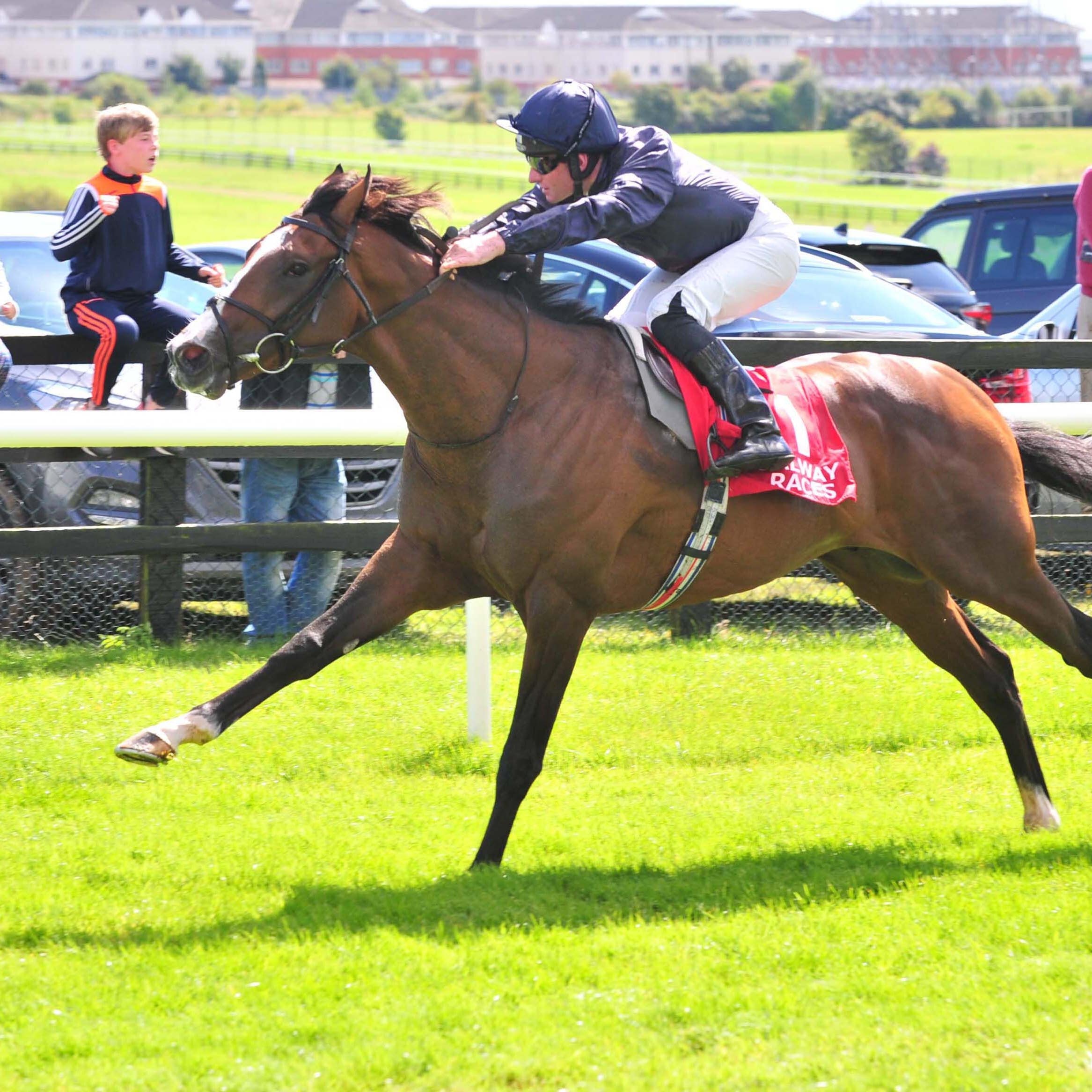 Amedeo Modigliani could return to action at Naas on Sunday