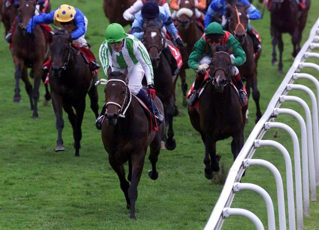 Gary Stevens and Beat All (yellow cap) finishing third to Oath in the Derby 