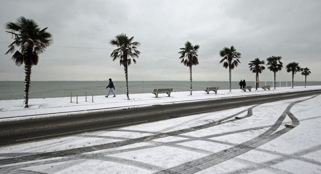 Palm trees on the snow-covered seafront at Southend-on-Sea in Essex 