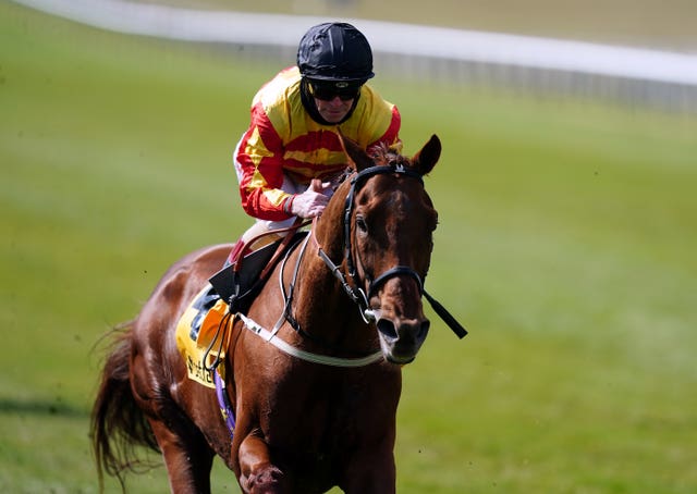 Sir Ron Priestley and Norton in the Jockey Club Stakes 