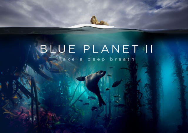 Sir David Attenborough’s Blue Planet II was a huge hit 