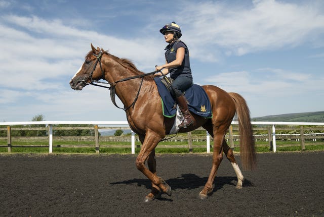 Dubai Mile ridden by Emma Bedford near Charlie Johnston’s yard at Kingsley Park Farm, Middleham
