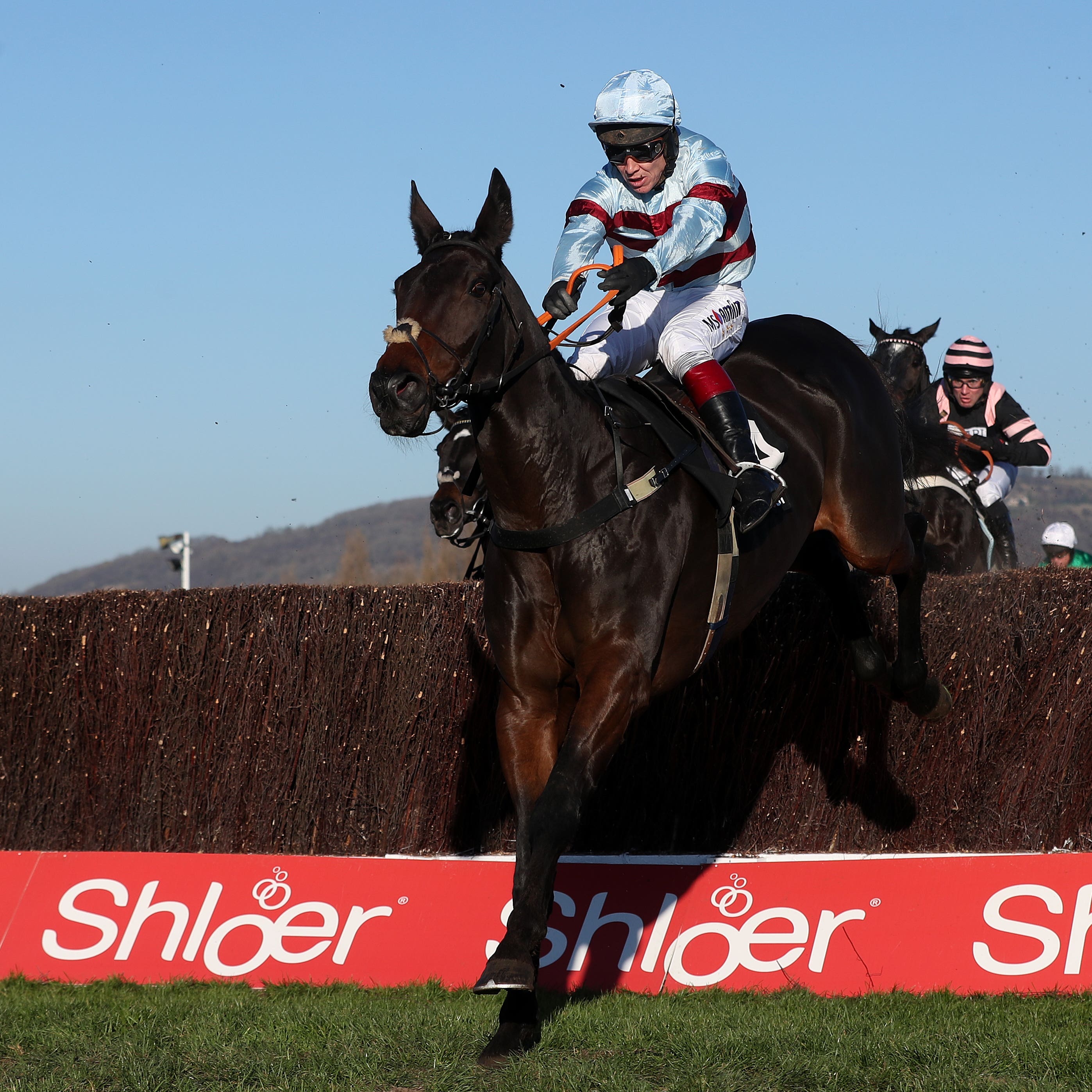Lalor made an impressive chasing debut