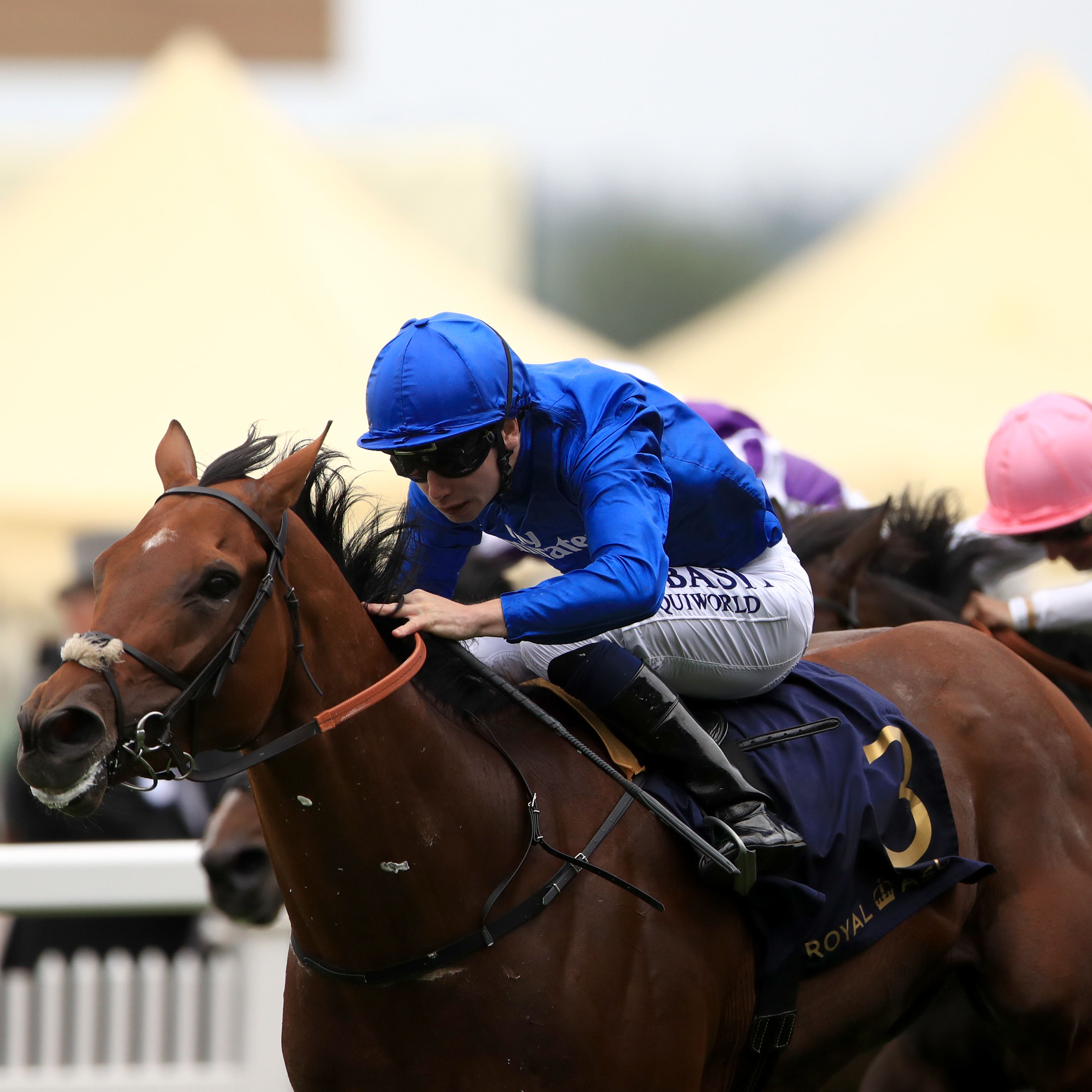 Benbatl was a Royal Ascot winner last season