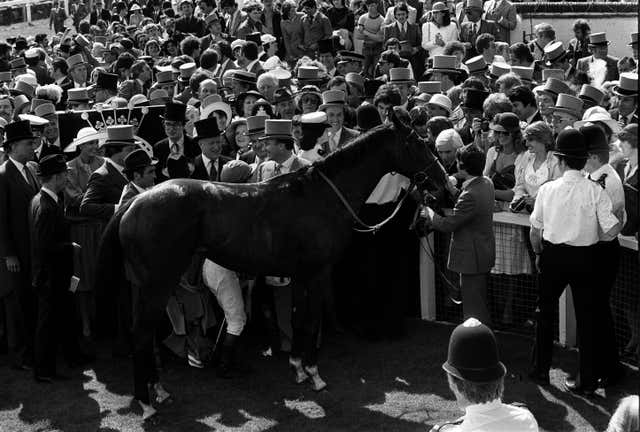 Shergar in the packed winner's enclosure at Epsom