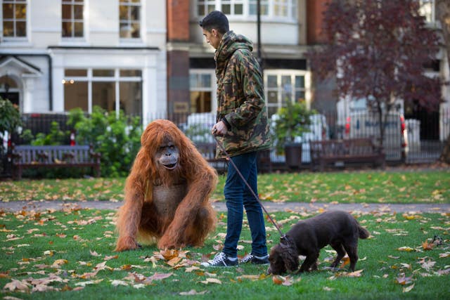 The animatronic orangutan is a 'potent symbol of the effects of deforestation', Iceland said (David Parry/PA)