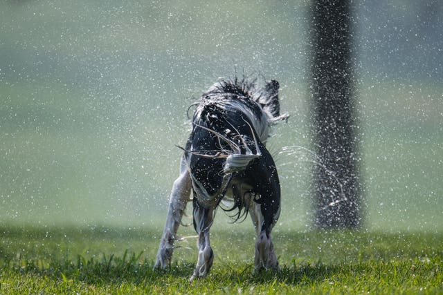 Spring weather