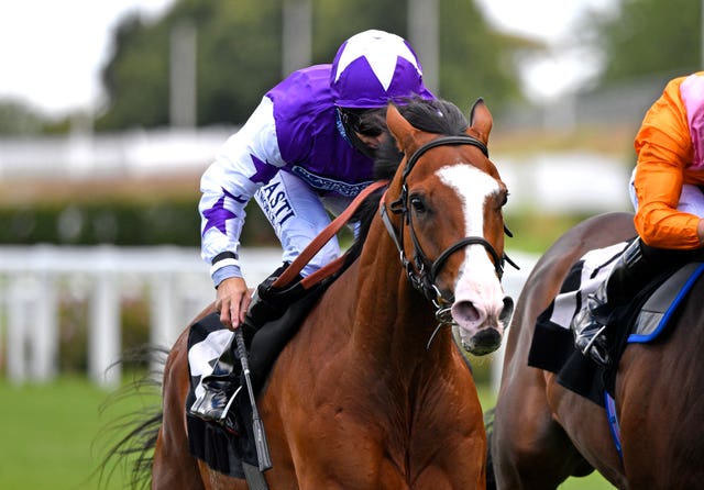 Calling The Wind winning the Betfred “Thanks To The NHS” Handicap at Ascot 