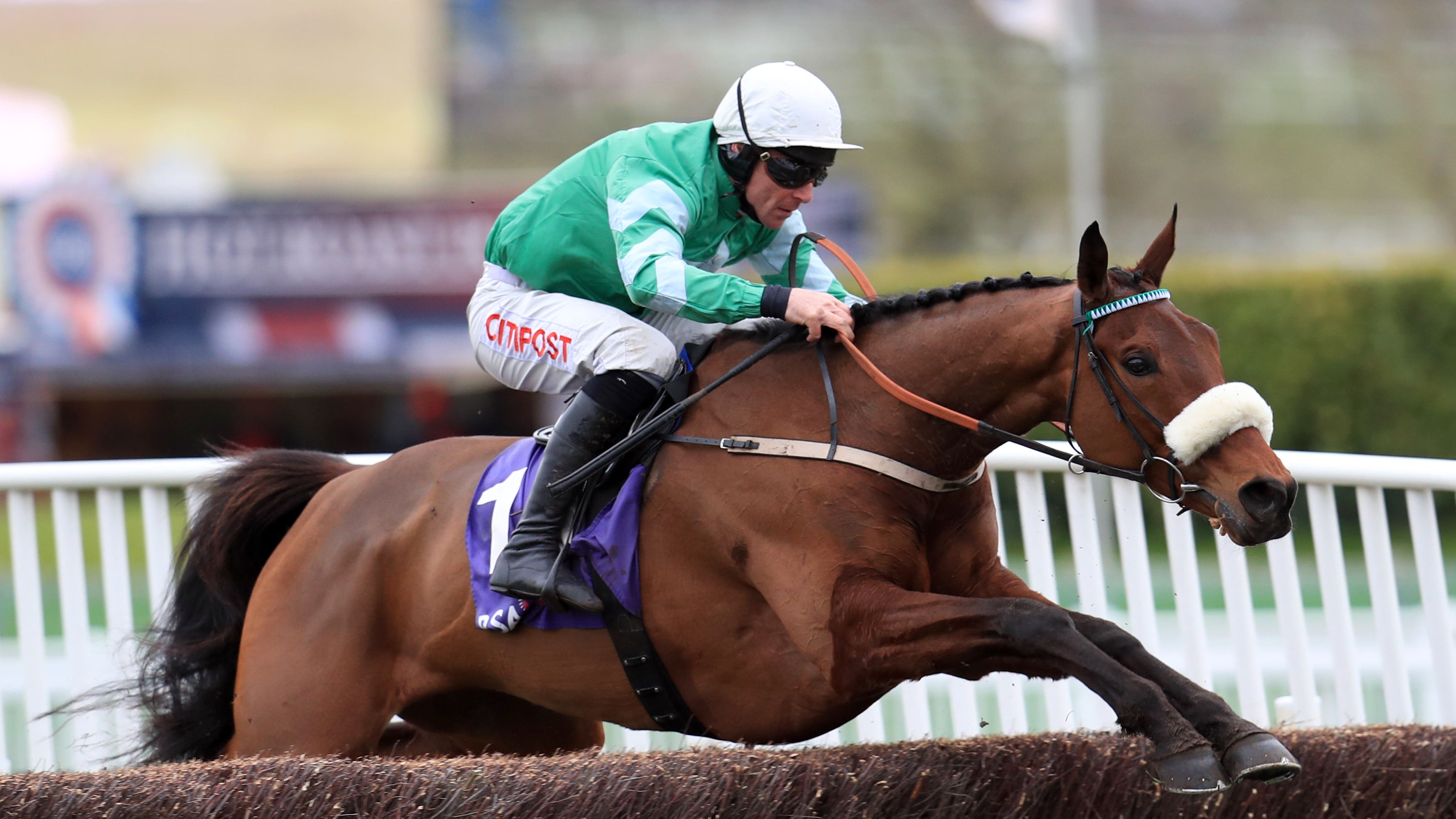 Dual Cheltenham Festival winner Presenting Percy switched ...