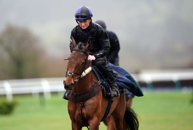 Honeysuckle at Cheltenham on Monday morning 