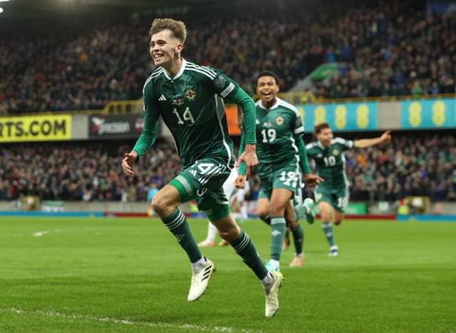 Northern Ireland v Denmark – UEFA Euro 2024 Qualifying – Group H – Windsor Park