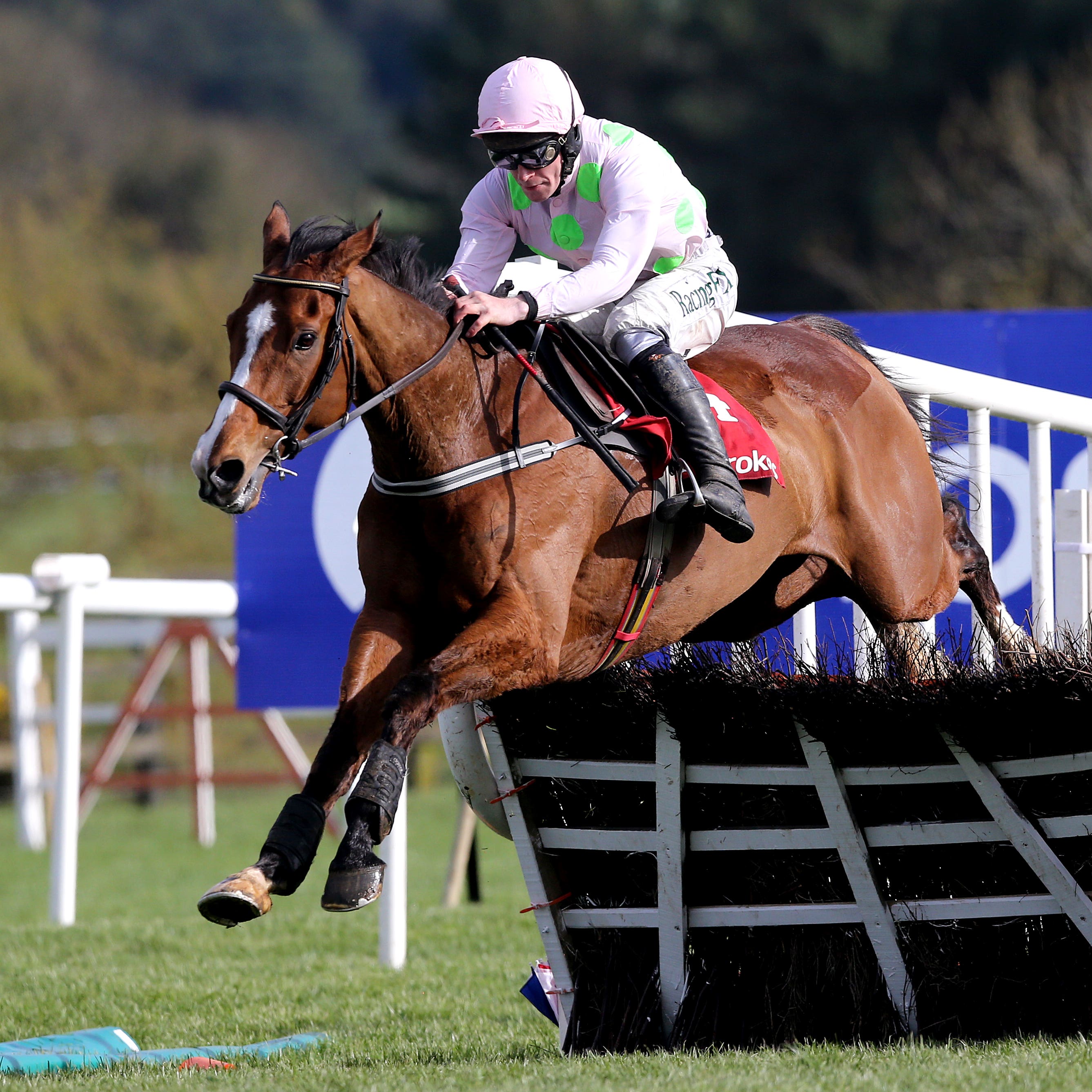 Faugheen has been entered for the JLT Long Walk Hurdle at Ascot