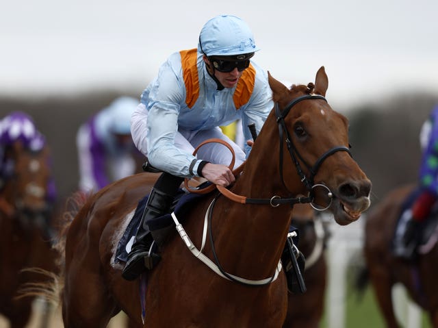 Dear My Friend ridden by James Doyle wins the talkSPORT Burradon Stakes at Newcastle 